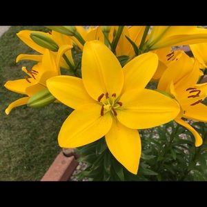 Meet your Posher, Laura